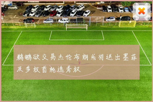 鹈鹕欲交易杰伦布朗或将送出墨菲及多枚首轮选秀权