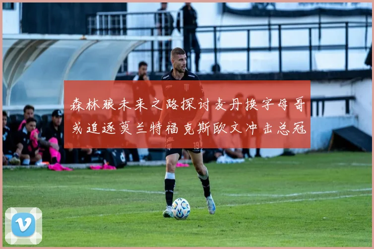 森林狼未来之路探讨麦丹换字母哥或追逐莫兰特福克斯欧文冲击总冠军