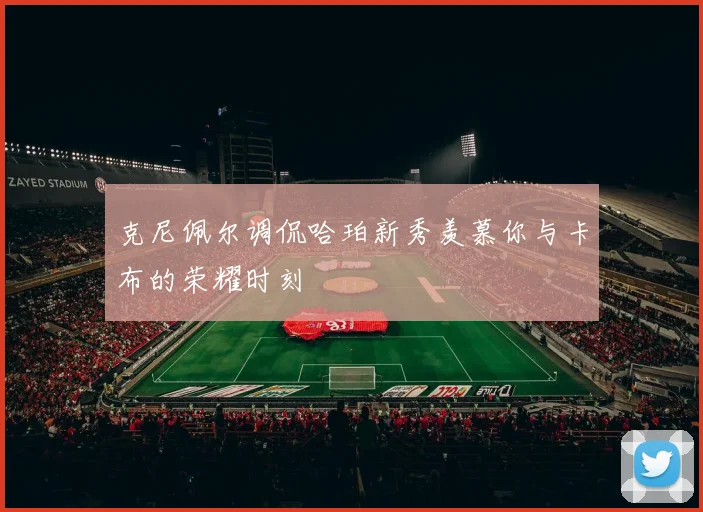克尼佩尔调侃哈珀新秀羡慕你与卡布的荣耀时刻