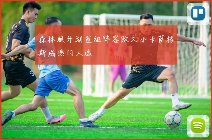 森林狼计划重组阵容欧文小卡萨格斯成热门人选