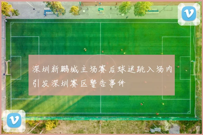 深圳新鹏城主场赛后球迷跳入场内引发深圳赛区警告事件